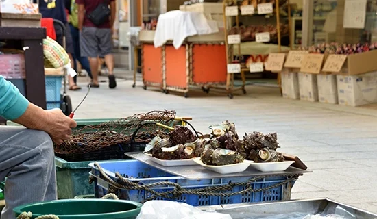 照片畫廊圖像|佐賀唐津美居度假酒店