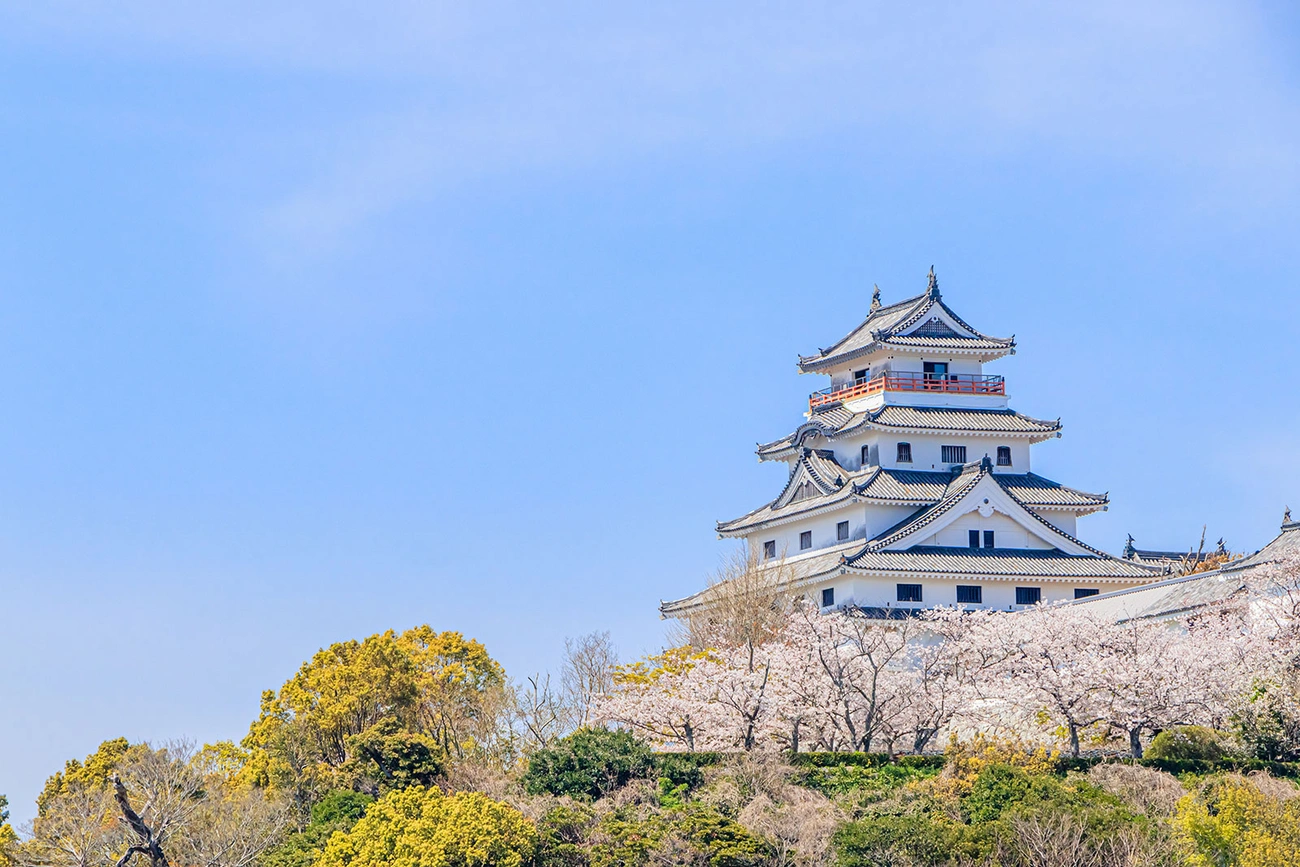 介紹佐賀唐津美居度假酒店周邊的櫻花資訊