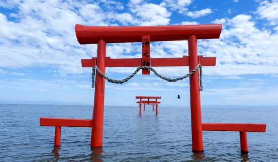 大魚神社的海中鳥居